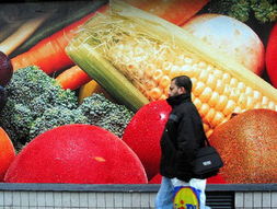 法國(guó)2003年食品零售價(jià)格指數(shù)微降 新鮮水果零售價(jià)格變化分析