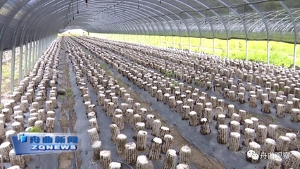 天津?yàn)I江集團(tuán)深入調(diào)研我縣農(nóng)副產(chǎn)品產(chǎn)業(yè)，聚焦新鮮水果零售市場(chǎng)新機(jī)遇